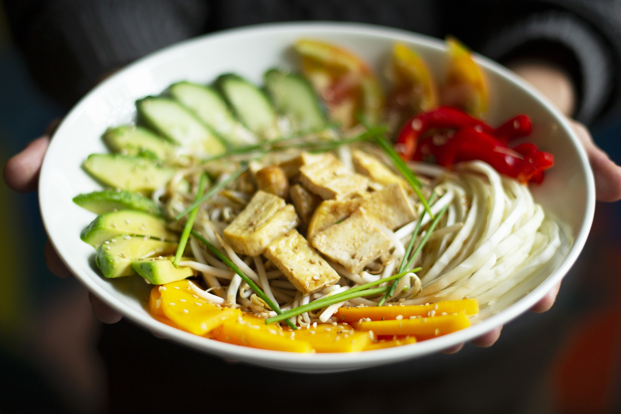 Resultado de imagen de comida vegana